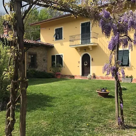 Il Cotogno